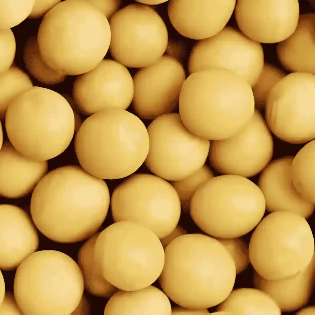soy germ isoflavones